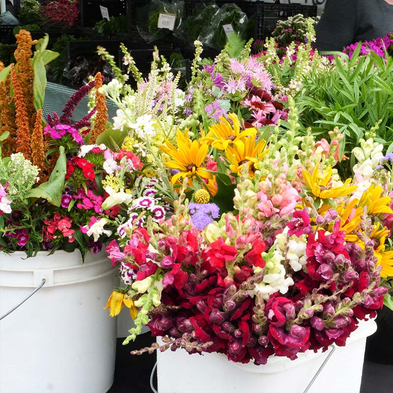 Piscasaw Gardens will create a bouquet with the flowers you select at Farmers Market+